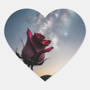 Heart-geprägte Aufkleber mit Rose und Sternen