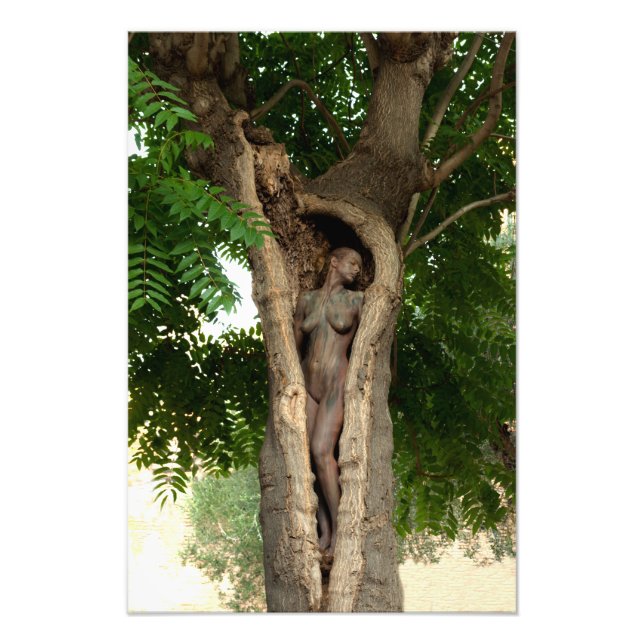 Heart of the Tree by Johannes Stötter Fotodruck (Vorne)