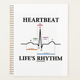Heartbeat Life's Rhythm ECG EKG Electrocardiogram
