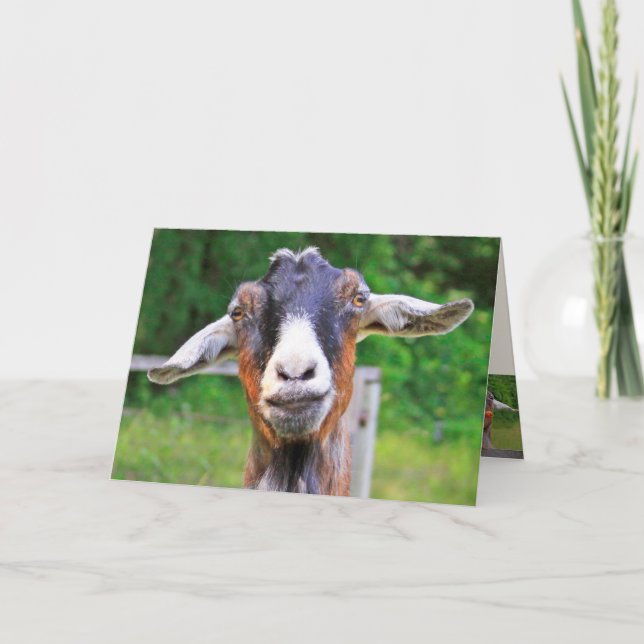 Heartfelt Funny Goat Birthday Karte (Vorderseite)