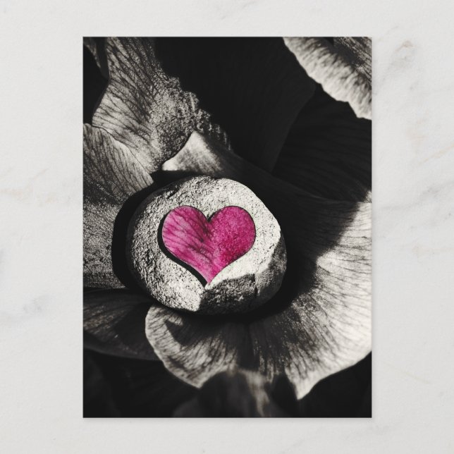 Hearth of Stone & Peony Blume Postkarte (Vorderseite)