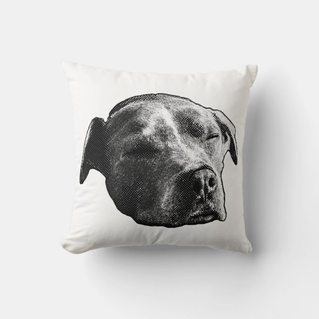 Hearth Whisper Kissen (Vorderseite)