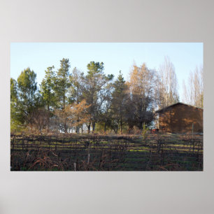 Hearthstone Weinberg in Paso Robles, CA Poster