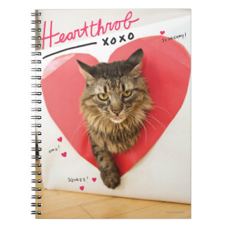 Heartthrob Cat Notizblock
