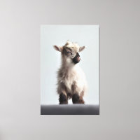 Heartwärming Baby Goat Portrait Fotografie