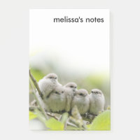 Heartwärming Niedlich Bushtits Songbirds Family Fo