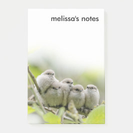Heartwärming Niedlich Bushtits Songbirds Family Fo Post-it Klebezettel
