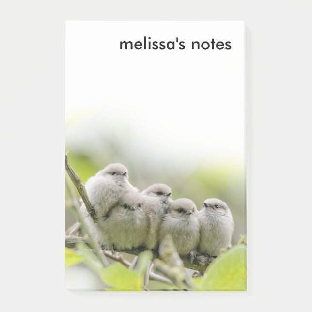 Heartwärming Niedlich Bushtits Songbirds Family Fo Post-it Klebezettel (Vorderseite)