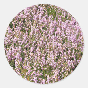 Heather Blume Schöne Aussicht Runder Aufkleber