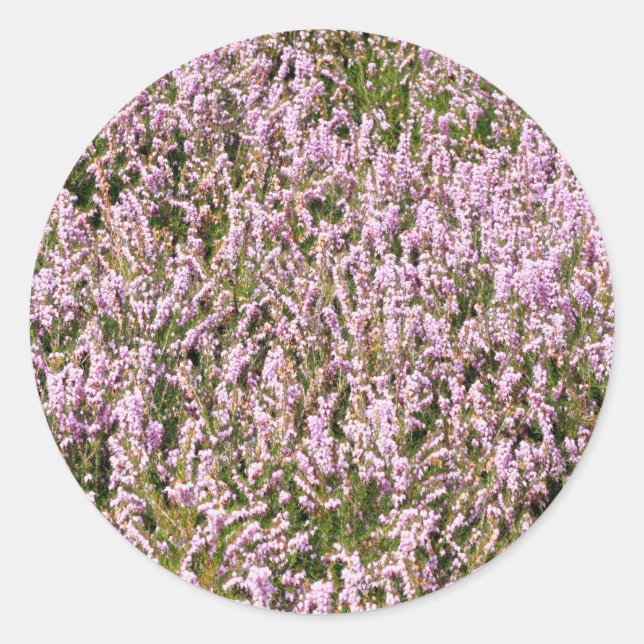 Heather Blume Schöne Aussicht Runder Aufkleber (Vorderseite)