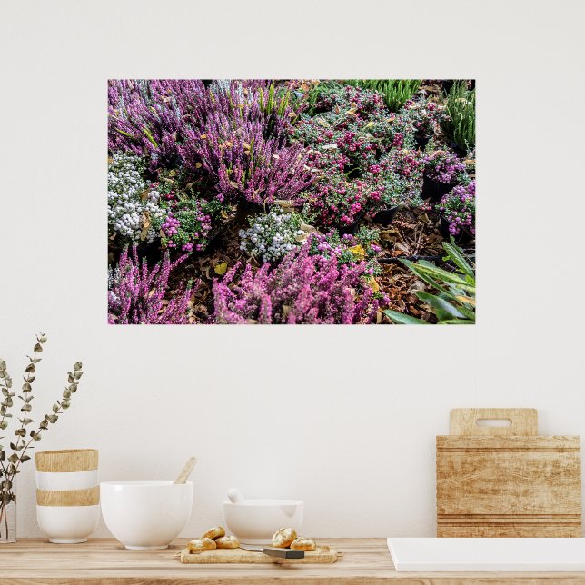 Heather und Beeren Poster (Küche)