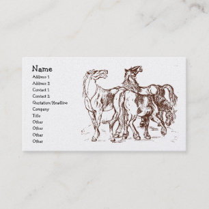 heathershorses, Name, Adresse 1, Adresse 2, Visitenkarte