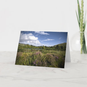 Heathland ・ Carte de voeux