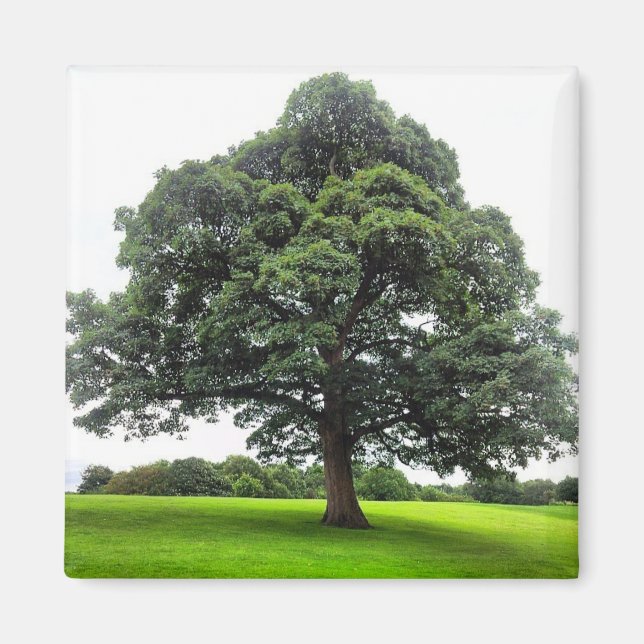 Heaton Park Magnet (Vorne)