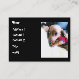 heavenlypuppy, Name, Adresse 1, Kontakt 1, Inh.… Visitenkarte
