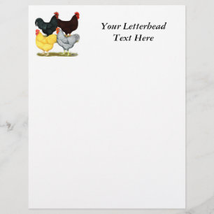 Heavy Rooster Chicken Quartett