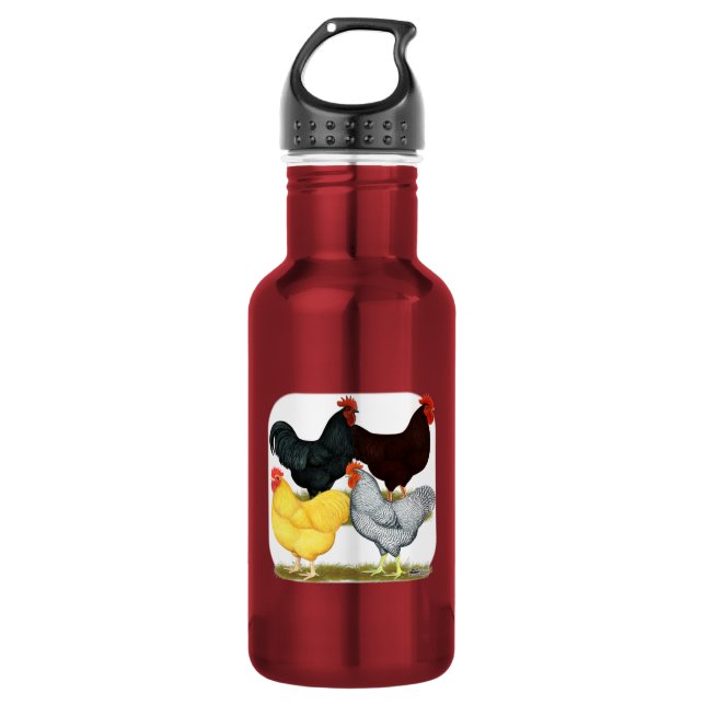 Heavy Rooster Chicken Quartett Edelstahlflasche (Vorderseite)
