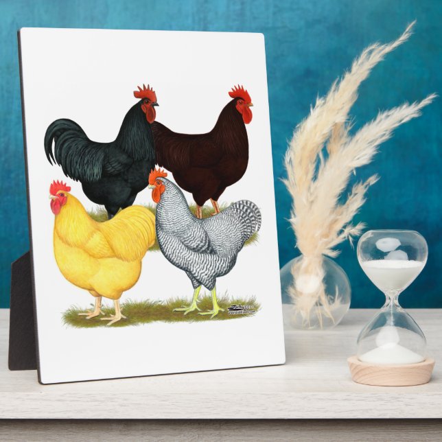 Heavy Rooster Chicken Quartett Fotoplatte (Seite)