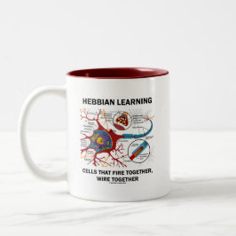 Hebbian, das Zellen-Feuer verdrahten lernt Zweifarbige Tasse