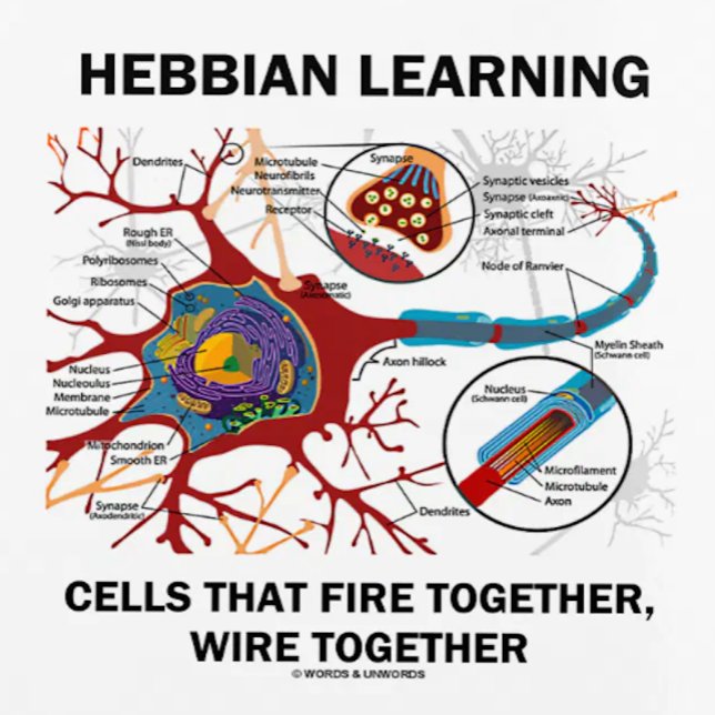 Hebbian Learning Cells brennen gemeinsam Wire Planer (Showcase your neuropsychological Hebbian learner side with this planner featuring a neuron/synapse)