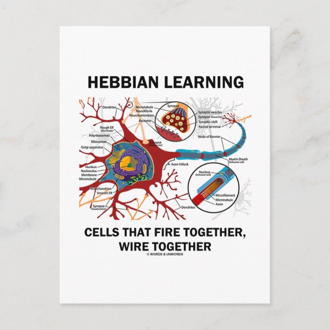 Hebbian Learning Cells brennen gemeinsam Wire Postkarte (Vorderseite)
