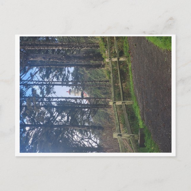 Heceta Kopf Leuchtturm aus Weg Postkarte (Vorderseite)