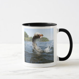Hechtherausspringen des Wassers in einem See Tasse