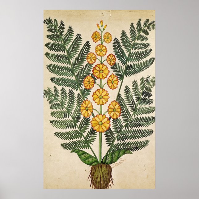 Heck mit gelben Blumen Poster (Vorne)
