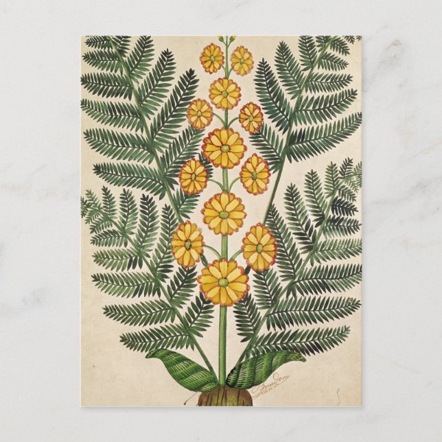 Heck mit gelben Blumen Postkarte (Vorderseite)