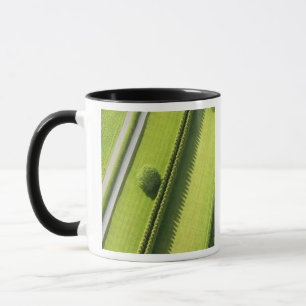 Hecke im Hamptons Tasse