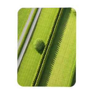 Hecke in den Hamptons Magnet