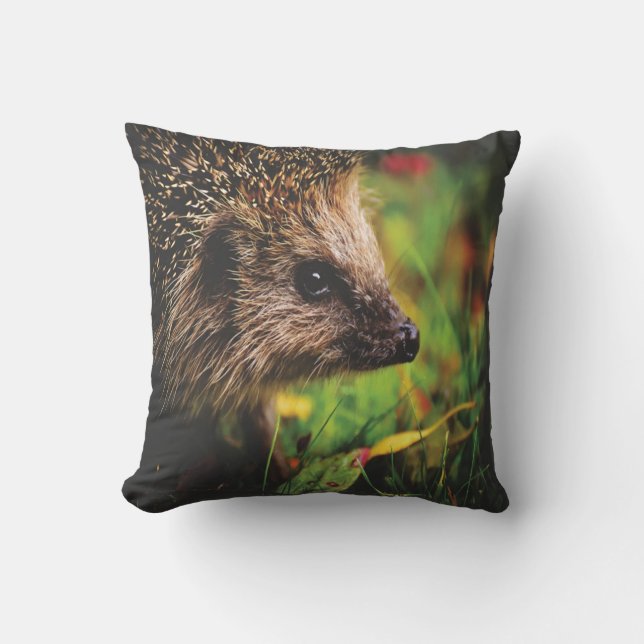 Hedge Hog Animal Kissen (Vorderseite)