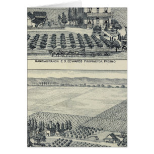 Hedge Row Vineyard, Fresno