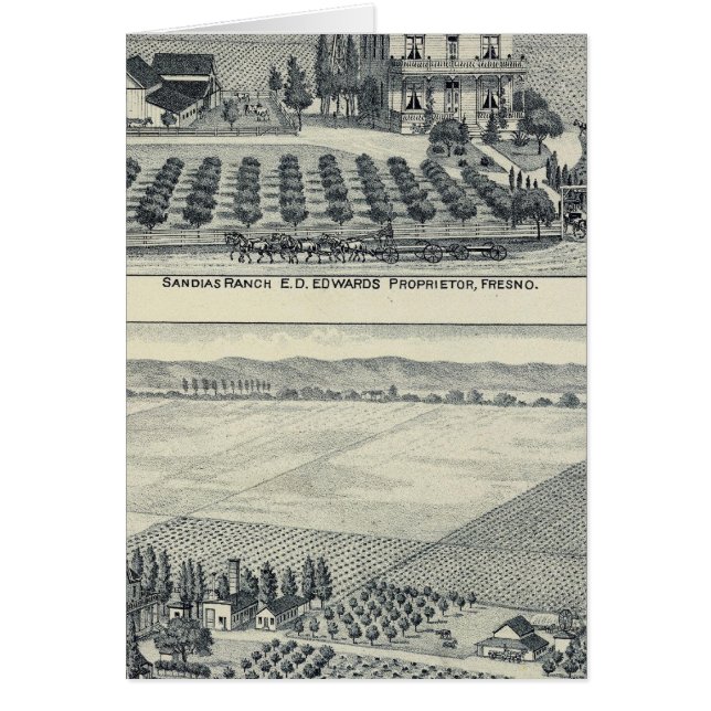 Hedge Row Vineyard, Fresno (Vorne)