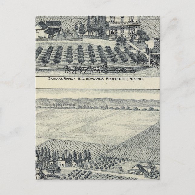 Hedge Row Vineyard, Fresno Postkarte (Vorderseite)