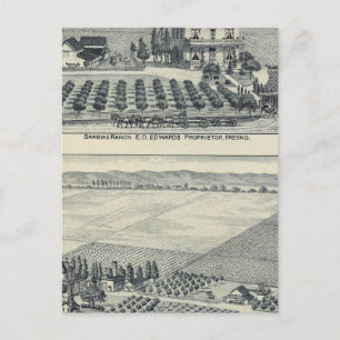 Hedge Row Vineyard, Fresno Postkarte
