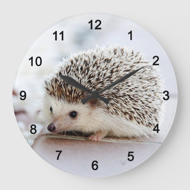 Hedgehog Große Wanduhr (Vorderseite)