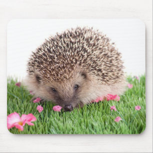 Hedgehog Mousepad