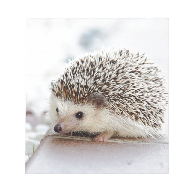 Hedgehog Notizblock (Vorderseite)