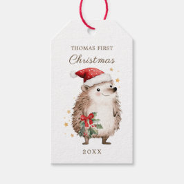 Hedgehog Santa Hat Baby 1st Christmas Geschenkanhänger
