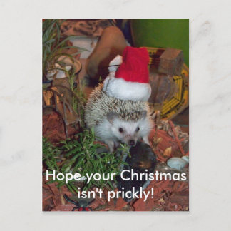 Hedgie der Igel wünscht Ihnen frohen Weihnachten