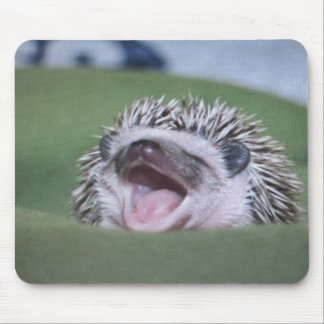 hedgy mousepad