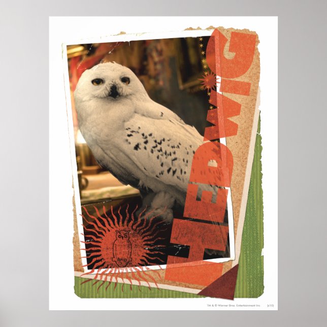 Hedwig 1 poster (Vorne)