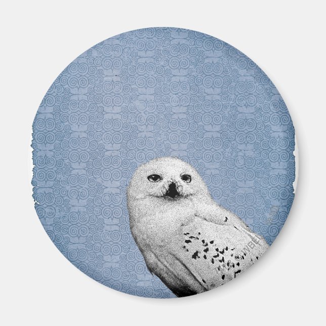 Hedwig 2 magnet (Vorne)