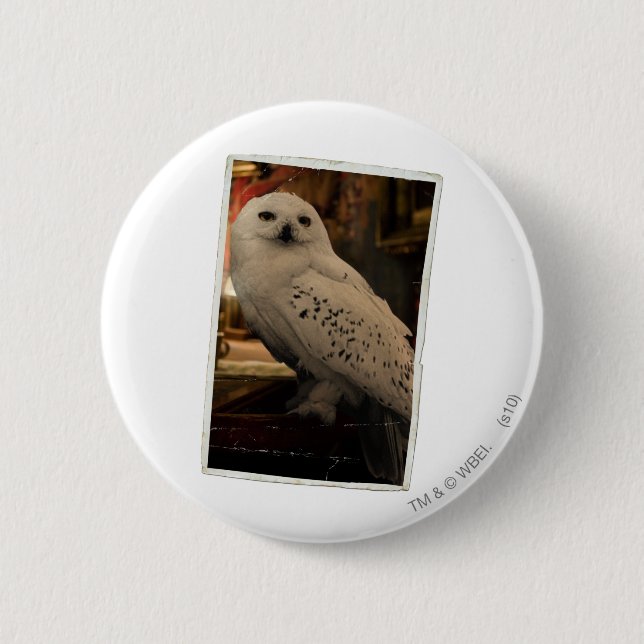 Hedwig 3 button (Vorderseite)