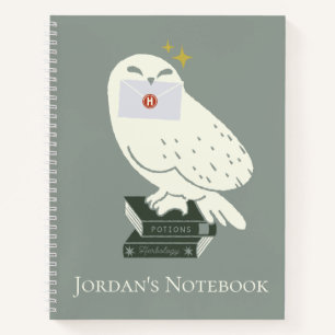 Hedwig mit Brief Skurrile Zeichnung Notizbuch