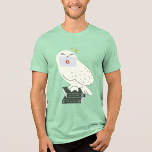 Hedwig mit Brief Whimsical-Zeichnung Tri-Blend Shirt