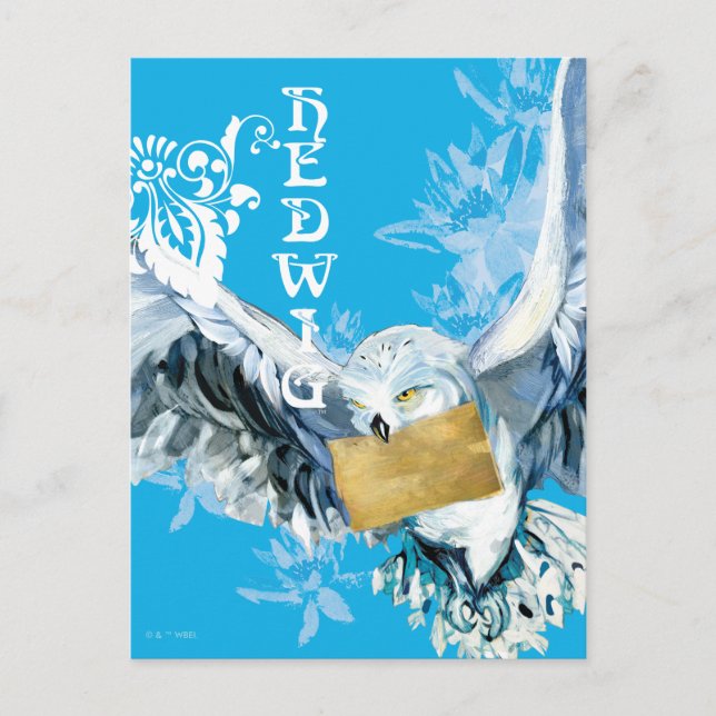 Hedwig Postkarte (Vorderseite)