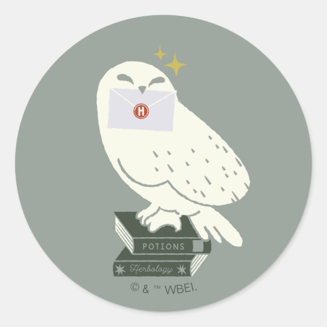 Hedwig With Letter Whimsical Drawing Runder Aufkleber (Vorderseite)