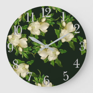 Hefe Magnolia Blume Blüten Mauer Uhr